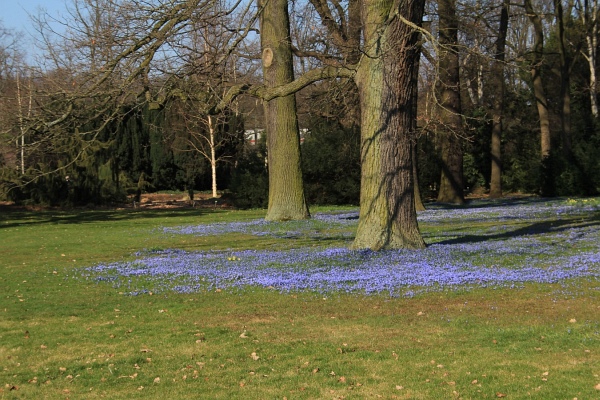 Fruehling   079.jpg